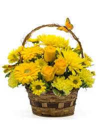 Basket of Sunshine from Scott's Flowers on the Square in Stephenville, TX